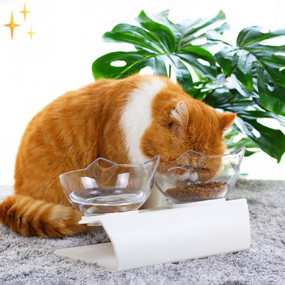 PETDesign Ortopedisk kattmatskål